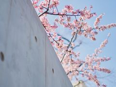 -静安雕塑公园