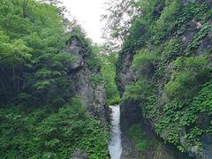 -老秃顶草原景区