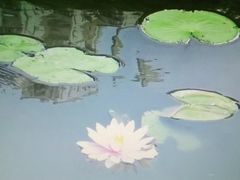 -龙头寺公园