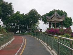 -大渡口区义渡公园