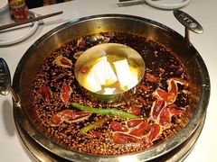 -二荆条·城市森林火锅旗舰店