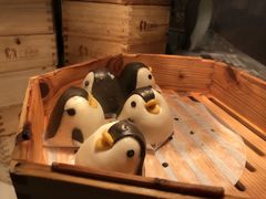 -帝企鹅自助餐厅•儿童岛•真企鹅(长隆企鹅酒店)