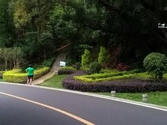 -狐尾山公园