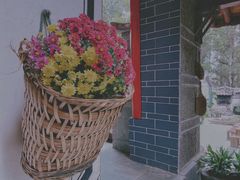 -寂照庵