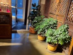 -慢丽江·云南野生菌土鸡锅(付家庄店)