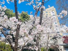 -徐家汇源景区-衡山公园