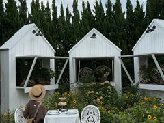 -Blue Concept Cafe&Farm·關於藍