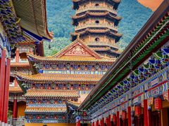 -天目山大树王景区
