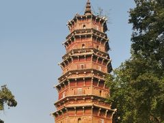 -小凤庭·地道湖北菜武昌鱼·藕汤(38年黄鹤楼店)