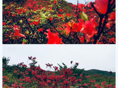 -大围山国家森林公园