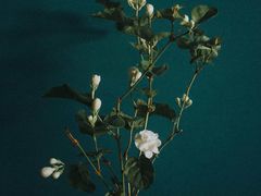 -火锅岛潮牌自助餐厅(天津天佑城店)