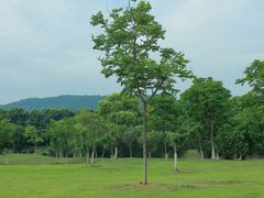 -钟山体育运动公园