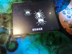 -上海长江河口科技馆