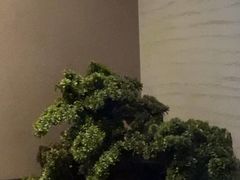 -上足·影院足道·SPA(红岭店)