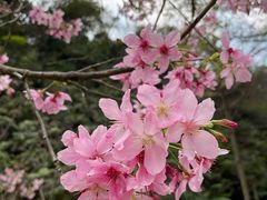 -广州市帽峰山景区