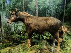 -陕西自然博物馆