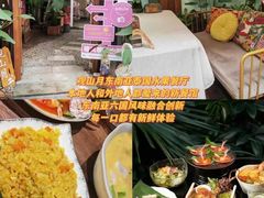 -西双版纳原始森林公园