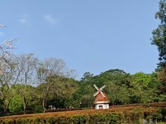 -东莞植物园