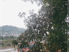 -清泉馆(望江路店)