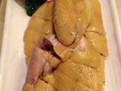 白斩鸡-旭龙鱼头王(航华店)