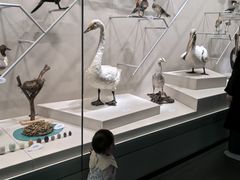 -中国湿地博物馆