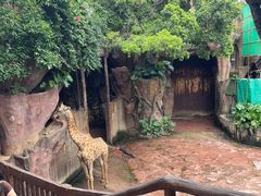 -长鹿旅游休博园