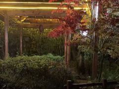 -麦积山温泉