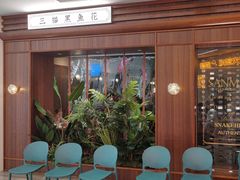 -三猫黑鱼花(南大店)