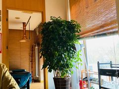 -北派修脚(双桥店)