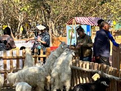 -水上乐园·欢乐世界