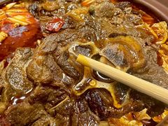 -杨氏青龙虾·羊蝎子(珠江路店)