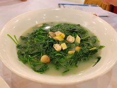 上汤苋菜-朱仔记食府(江南大道店)