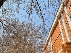 -汪记鲜鱼糊汤粉(沈阳路总店)