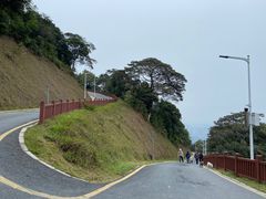 -黄埔油麻山森林公园