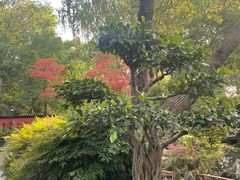 -成都武侯祠博物馆