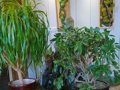 -山海经·海边人家 海鲜新青岛菜(扬州路店)