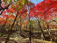 -本溪老边沟风景区