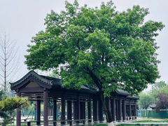 -赵州桥景区