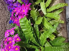 -园里火锅(仁和新城店)