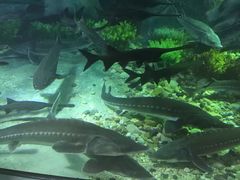 -福州罗源湾海洋世界旅游区