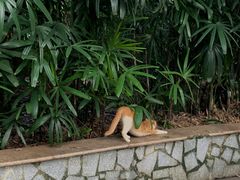 -晓港公园