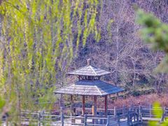 -九如山休闲旅游度假区