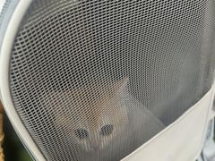 -达爱动物医院·犬猫分区·CT·复杂眼科(远洋山水分院)