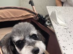 -FAELING PETS美天灵宠物(合生汇店)