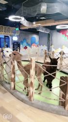 点击看大图 -七巧国萌宠乐园(龙湖天街店)