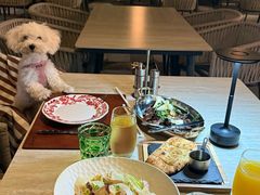 -Mammamia意大利餐厅(阳春巷店)