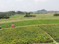-光明小镇欢乐田园