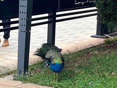 -云南艺术学院(呈贡校区)