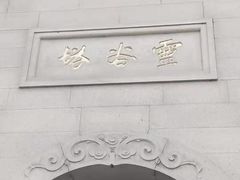 -灵谷景区