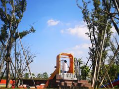 -春花秋色城市公园